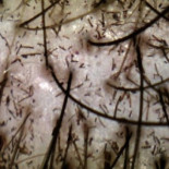 El efecto Vin Diesel o los fantásticos “generadores de pelo” para disimular la calva