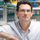 Óscar Marín: "España sigue pensando como un país pequeño y por eso no invierte en Ciencia"