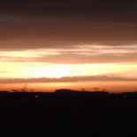 La mentira de los 445.568 políticos