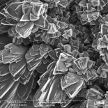 Se patenta un nuevo material que absorbe CO₂