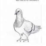 Buscan a una paloma que se encaró a un guardia civil