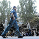 Guardias civiles denuncian que elaboran ficheros ilegales sobre la ciudadanía