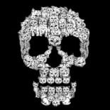 Apocatlipsis: 5 cosas que ocurrirían si todos los gatos desaparecieran de repente