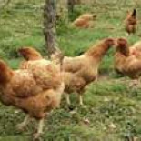 Carta de un jubilado: “Cuando fui consciente de lo que realmente se estaba fraguando…”