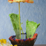 Impresionantes flores de agua