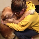 Estudio muestra que los perros sienten el dolor de las personas y buscan aliviarlo