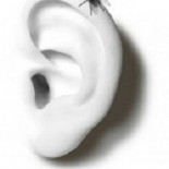 ¿Sabías que la expresión “tener la mosca detrás de la oreja” no tiene nada que ver con el insecto?