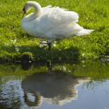 Cómo se lucha en Holanda contra el agua:  Kinderdijk y Maaslantkering