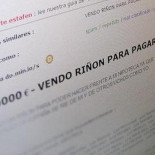 Vendo riñón en perfecto estado. Necesito el dinero porque no tengo ni paro ni nada