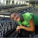 Las plantas se comunican (emitiendo y recibiendo sonidos) por las raíces
