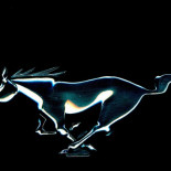 Mustang, los caballos salvajes que cambiaron Norteamérica