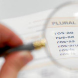 Las claves de la nueva reforma educativa - Latín obligatorio y menos asignaturas