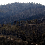 El fuego arrasa Valencia (Fotos)