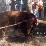 La sociopatía de los lanceros de Tordesillas