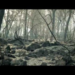 Testimonio de un brigadista frente a los últimos incendios