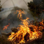 ¿Por qué Mariano Rajoy no visita la Comunidad Valenciana?