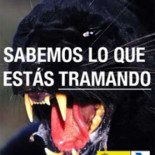 ¿Por qué no denunciamos al vecino que roba?