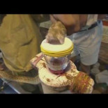 Y ésta, niños, es la razón práctica por la que no es conveniente que te muerda una serpiente venenosa