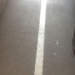 Saboteadas un centenar de furgonetas de antidisturbios