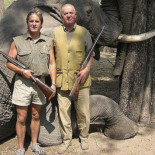 El Rey dejará de ser el presidente de honor de WWF España