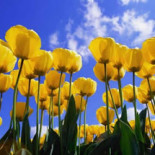 Holanda, el país donde se encuentran los hogares más endeudados de Europa