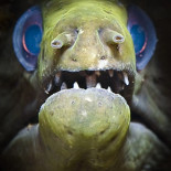 Una morena de ojos azules que da miedo