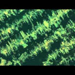 La deforestación del Amazonas vista en timelapse gracias a Google