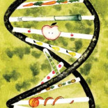 La prueba final: mi vídeo casero que demuestra los engaños de la industria alimentaria