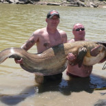 Siluros de más de 100 kilos en el río Ebro