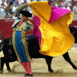53.000 toros muertos, y se llevan gastados 2800 millones de € en las corridas los últimos 5 años