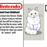 Diez compañías de videojuegos representadas como tipos de amigos [ENG]