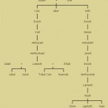 Ni los propios sacerdotes católicos comprenden las sagradas escrituras