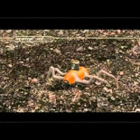 Documental: Planeta alienígena