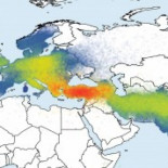 Las lenguas indoeuropeas nacieron en Turquía