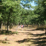 El Estado quitará los bienes comunales de los pueblos