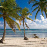 Los bancos rescatados desvían 21 billones de dólares a los paraísos fiscales (eng)