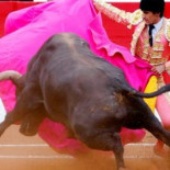 Polémica por los toros en RTVE: el Consejo Asesor de Cataluña pide desconectar la señal
