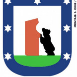 Sheldon Adelson propone un ligero cambio en el escudo de Madrid