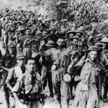 Los prisioneros eran ganado humano