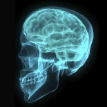 Hackea su informe médico y lo distribuye a la comunidad open source para encontrar una cura