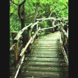 Grabación real de acoso laboral