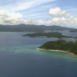 El pez que realiza curiosas figuras geométricas en el fondo del mar