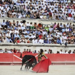 El Tribunal Constitucional francés avala la legalidad de las corridas de toros