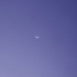 Histórica foto de Fobos desde Marte