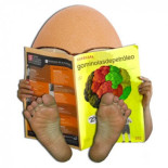 Diez cosas sobre el huevo que quizá no sepas