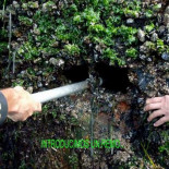 Los dueños de Audasa se repartieron todos los beneficios desde el 2008