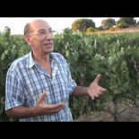 Ya tenemos vino ecológico, o algo así.