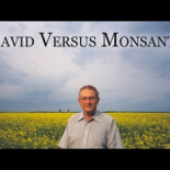 David contra Monsanto [Documental]