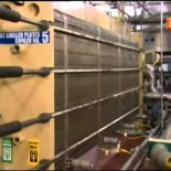 ¿Cómo se hace la cerveza sin alcohol?