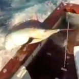 Enorme pez espada pone contra la pared a sus captores